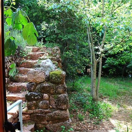Belle Et Grande Maison Ardechoise Payzac  Exteriér fotografie