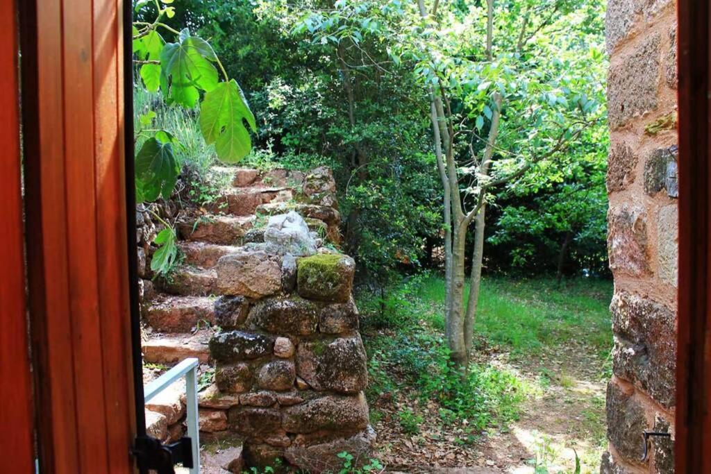 Belle Et Grande Maison Ardechoise Payzac  Exteriér fotografie